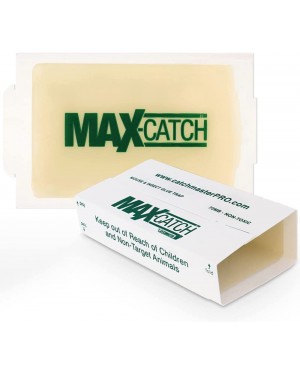 Pest Glue Trap by Catchmaster - 36 Boards Pre-Baited, Ready to Use Indoors. Rodent Mouse Rat Insect Sticky Adhesive Simple Easy Simple Non-Toxic - Made in the USA